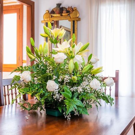 Dofi Villa Cala Millor  Dış mekan fotoğraf